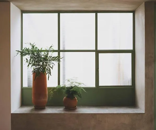 Xolo Mexiko-Stadt