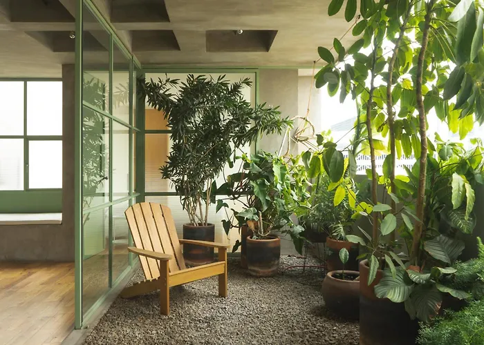 Apartahotel Xolo