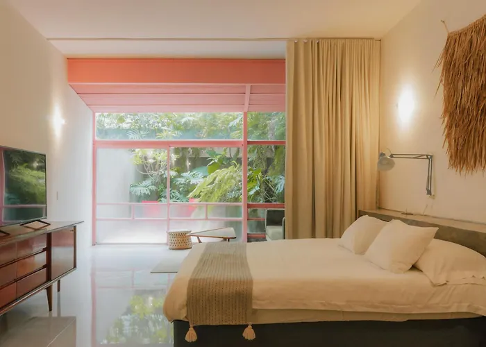 Xolo Apartahotel 4*