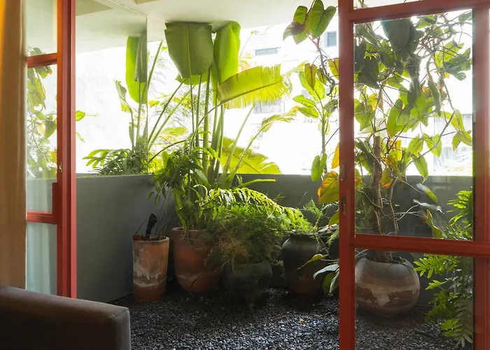 Apartahotel Xolo