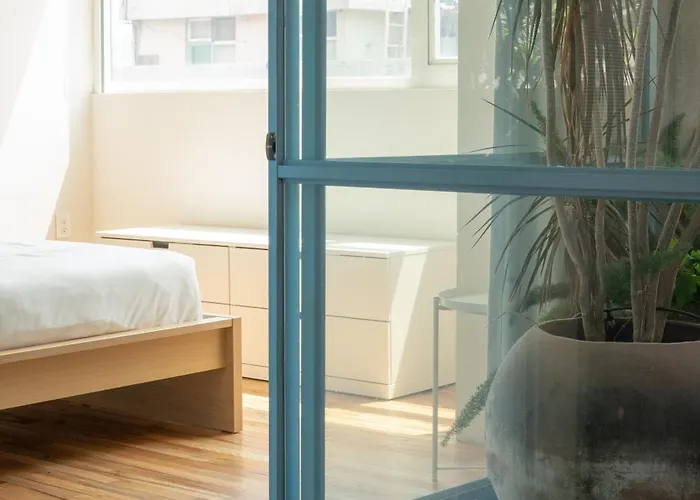 Xolo Apartahotel 4*